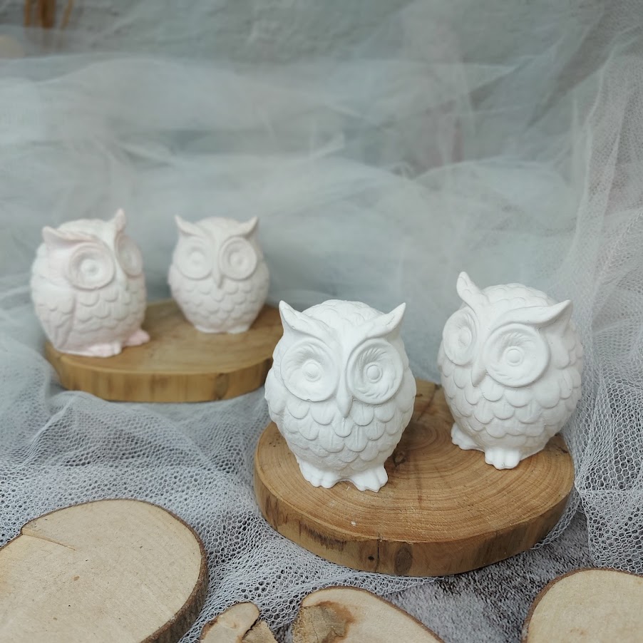 owl plaster